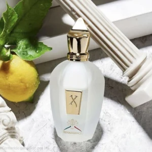 XERJOFF RENAISSANCE 100ML EDP