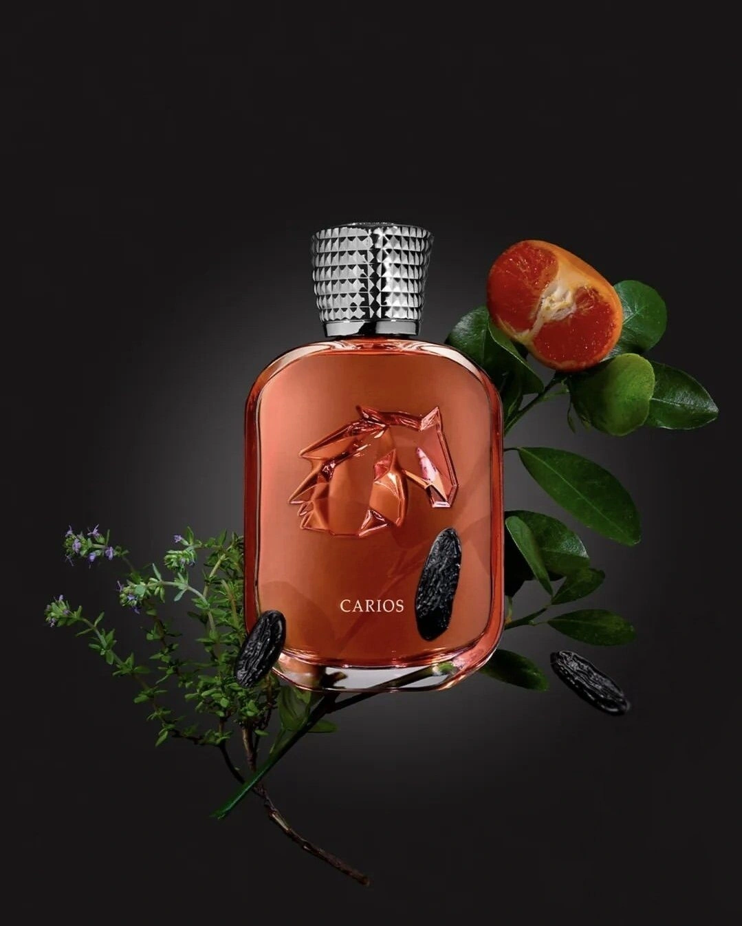 PARFUMS DE MARLY CARIOS 100ML EXDP