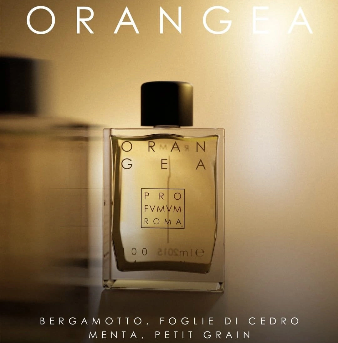 PROFUMUM ROMA ORANGEA 100ML