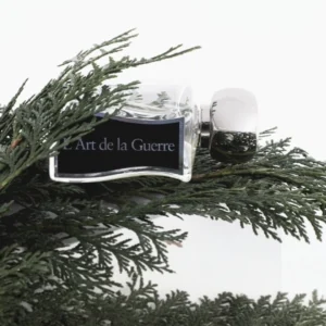 JOVOY PARIS L' ART DE LA GUERRE 100ML EDP