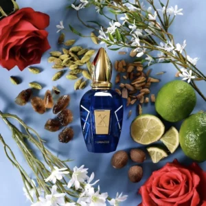 XERJOFF TORINO 23 50ML